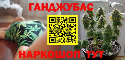 индика Шахты